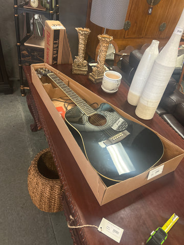 Jasmine Takamine Guitar 165982.