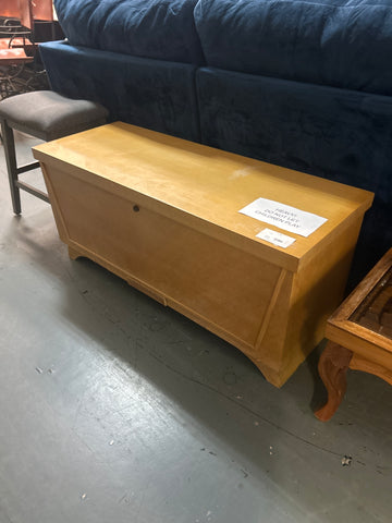 Trunk 167312.