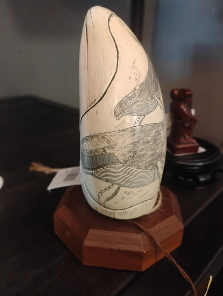 Sperm Whale Tooth 169331.