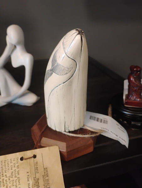 Sperm Whale Tooth 169331.